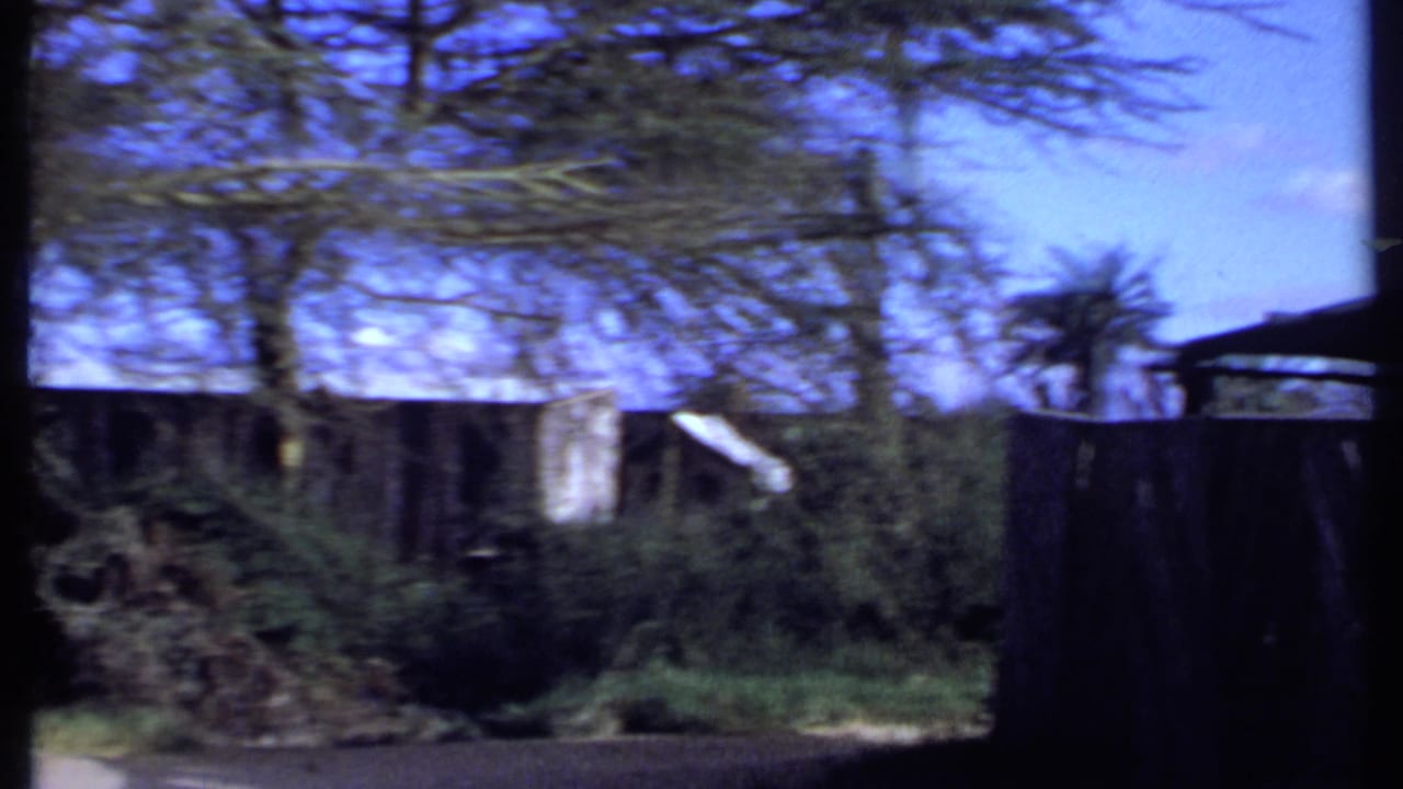 1969 Kenya frame of a rough timber fence, shrubs and tree trunks, with a partially obscured structure behind the vegetation.