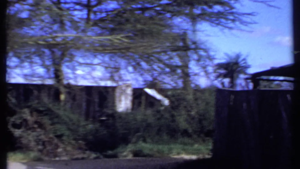 1969 Kenya frame of a rough timber fence, shrubs and tree trunks, with a partially obscured structure behind the vegetation.