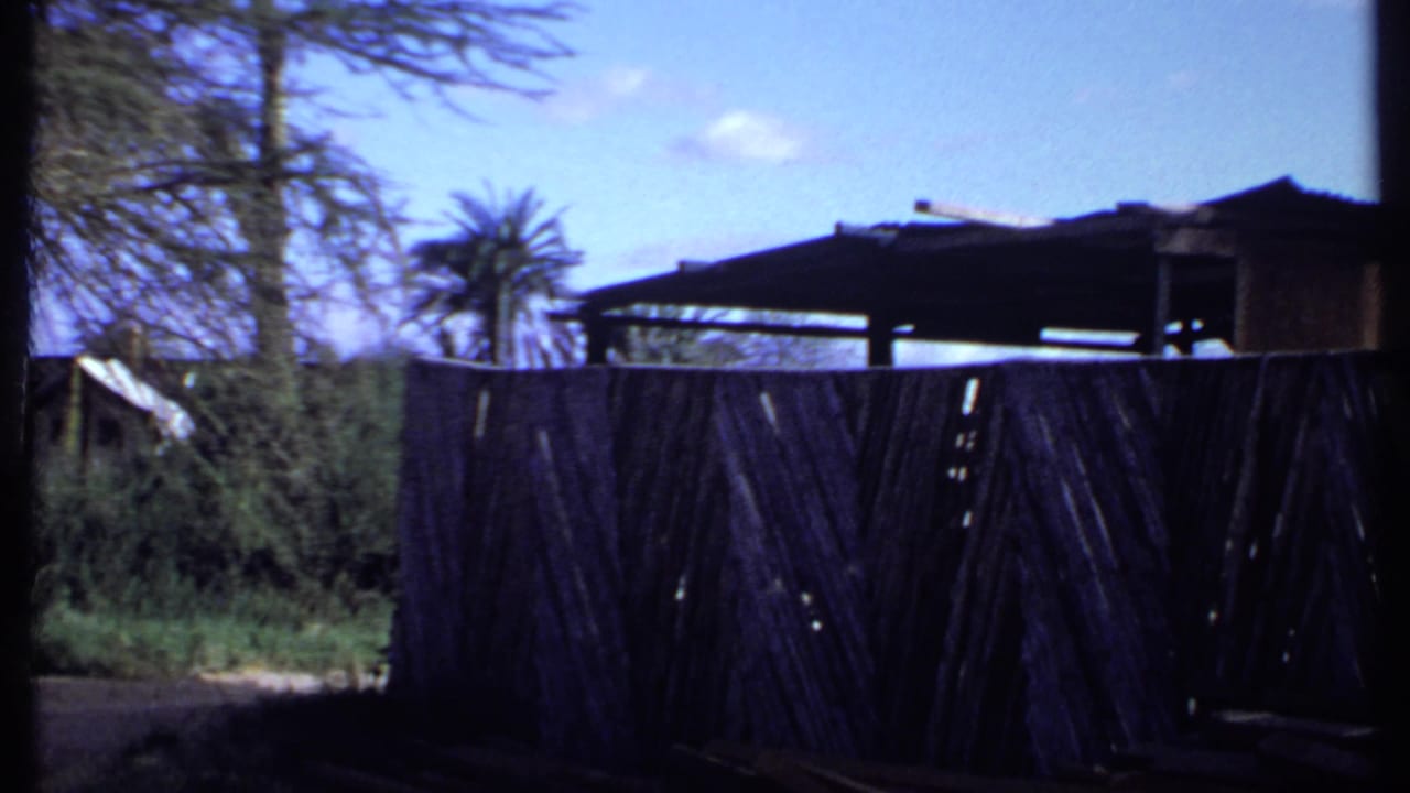 1969 Kenya home-movie frame showing a high dark fence, roofline, trees and bright sky during a pan across the camp area.
