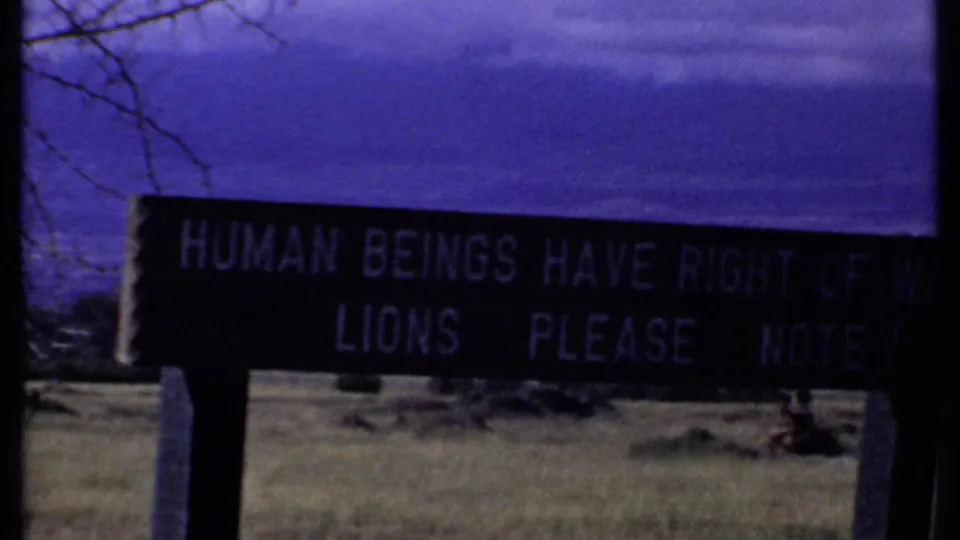 1969 Kenya frame with a dark wildlife warning sign in open grassland, partly reading that humans have right of way.