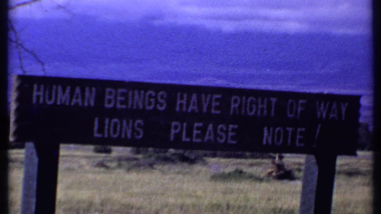 1969 Kenya home-movie frame centered on a sign reading, Human beings have right of way, lions please note.