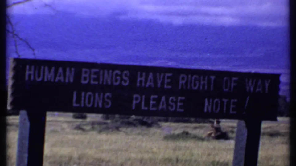 1969 Kenya home-movie frame centered on a sign reading, Human beings have right of way, lions please note.