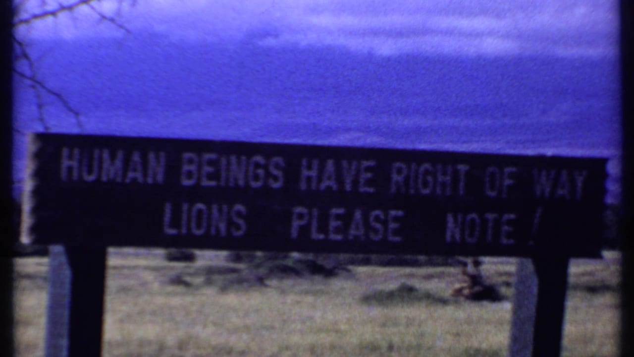 1969 Kenya frame showing the same wildlife sign with legible text about humans, right of way, and lions.
