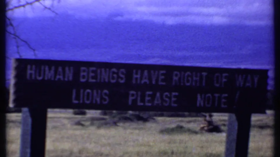 1969 Kenya frame showing the same wildlife sign with legible text about humans, right of way, and lions.