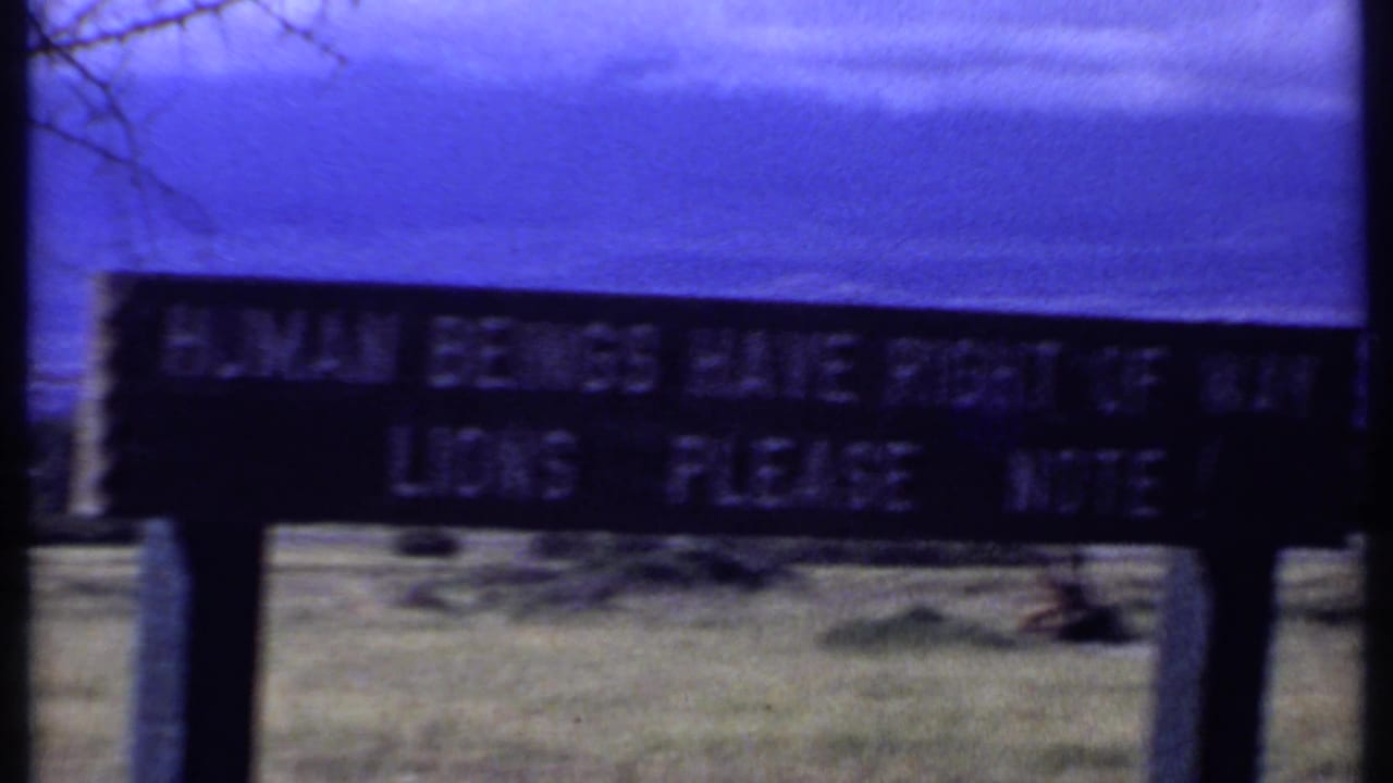 Dark roadside sign in dry grass beneath a deep blue sky.