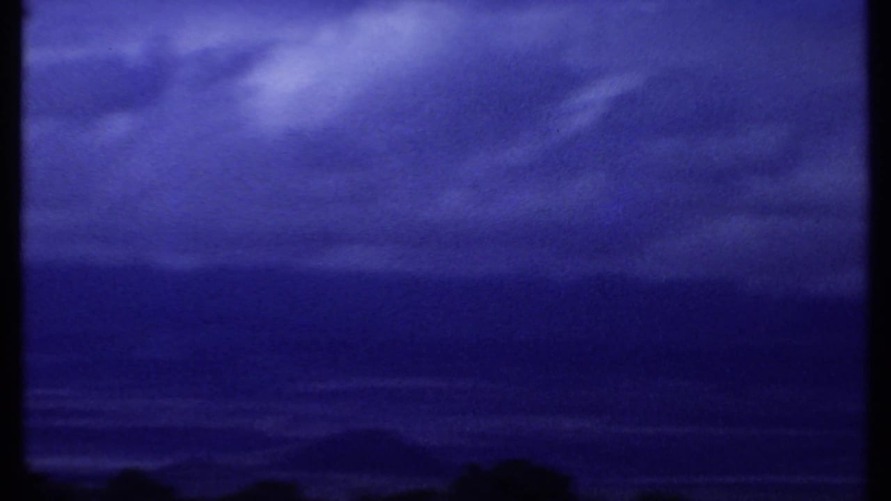 Dark blue sky with soft clouds above a silhouetted tree line.