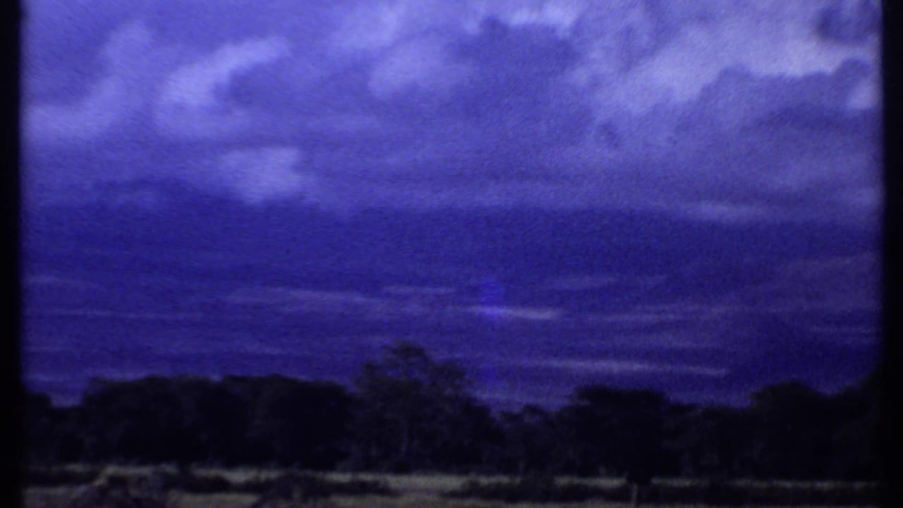 1969 Kenya frame with brighter cloud patches crossing a blue sky over silhouetted trees.