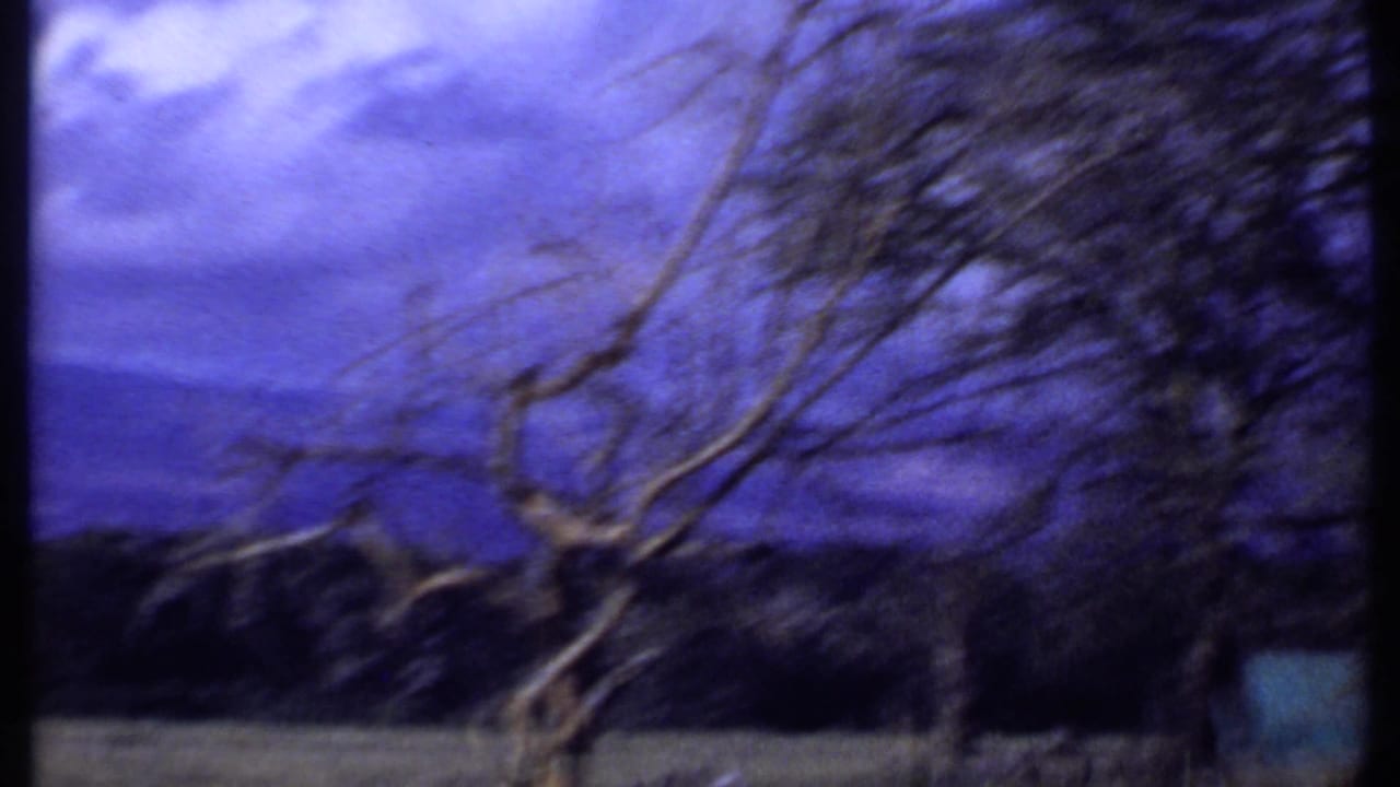 1969 Kenya 8mm frame showing blurred branches in the foreground, open grassland and a blue-purple sky during a handheld pan.