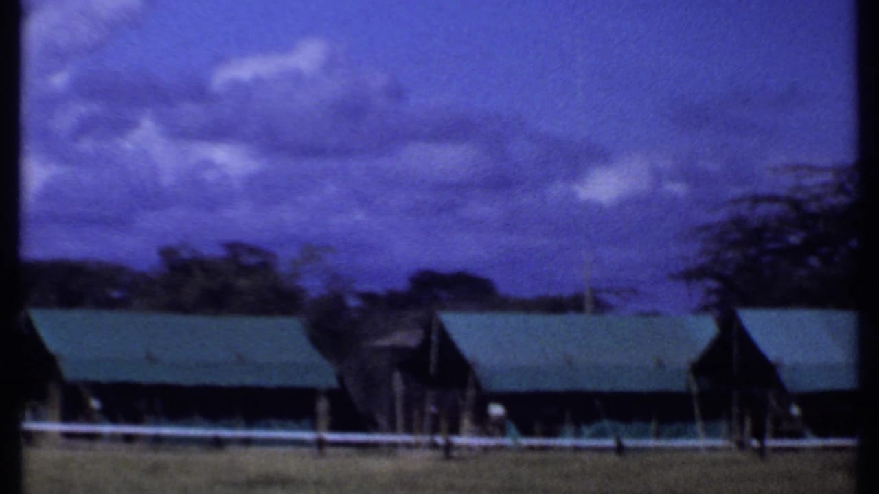 Green-roofed safari tents beneath a cloudy purple-blue sky.