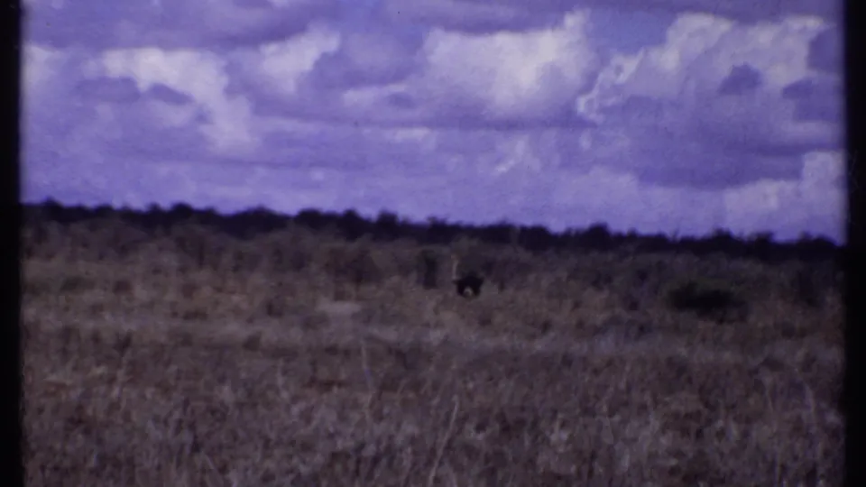 1969 Kenya 8mm view of open savanna grassland under heavy clouds, with a dark distant horizon and soft film texture.