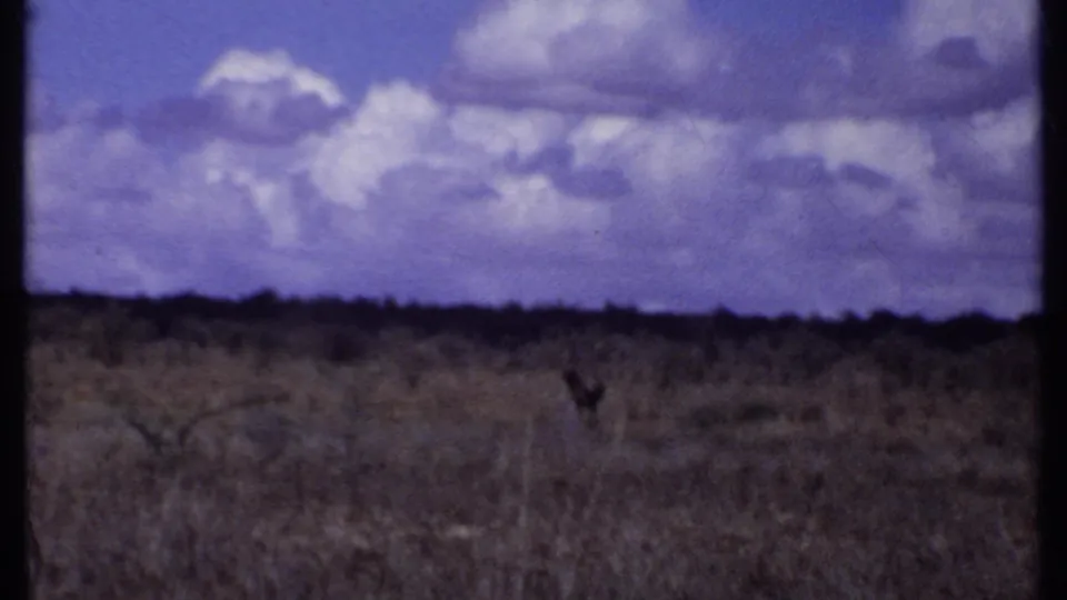 1969 Kenya 8mm frame showing open savanna grassland, low dark horizon, scattered brush, clouds, and a small distant animal shape.