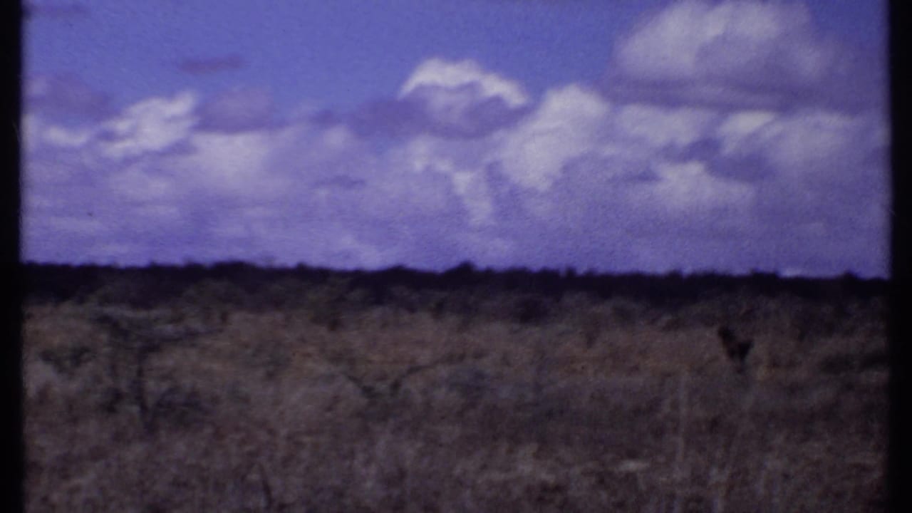 Open grassland and clouded sky with a small dark animal shape near the right side.