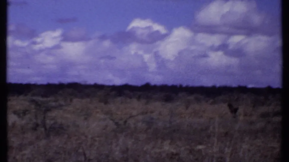 1969 Kenya home-movie frame of open savanna, heavy clouds, low horizon, dry grass, and a small distant animal form at right.