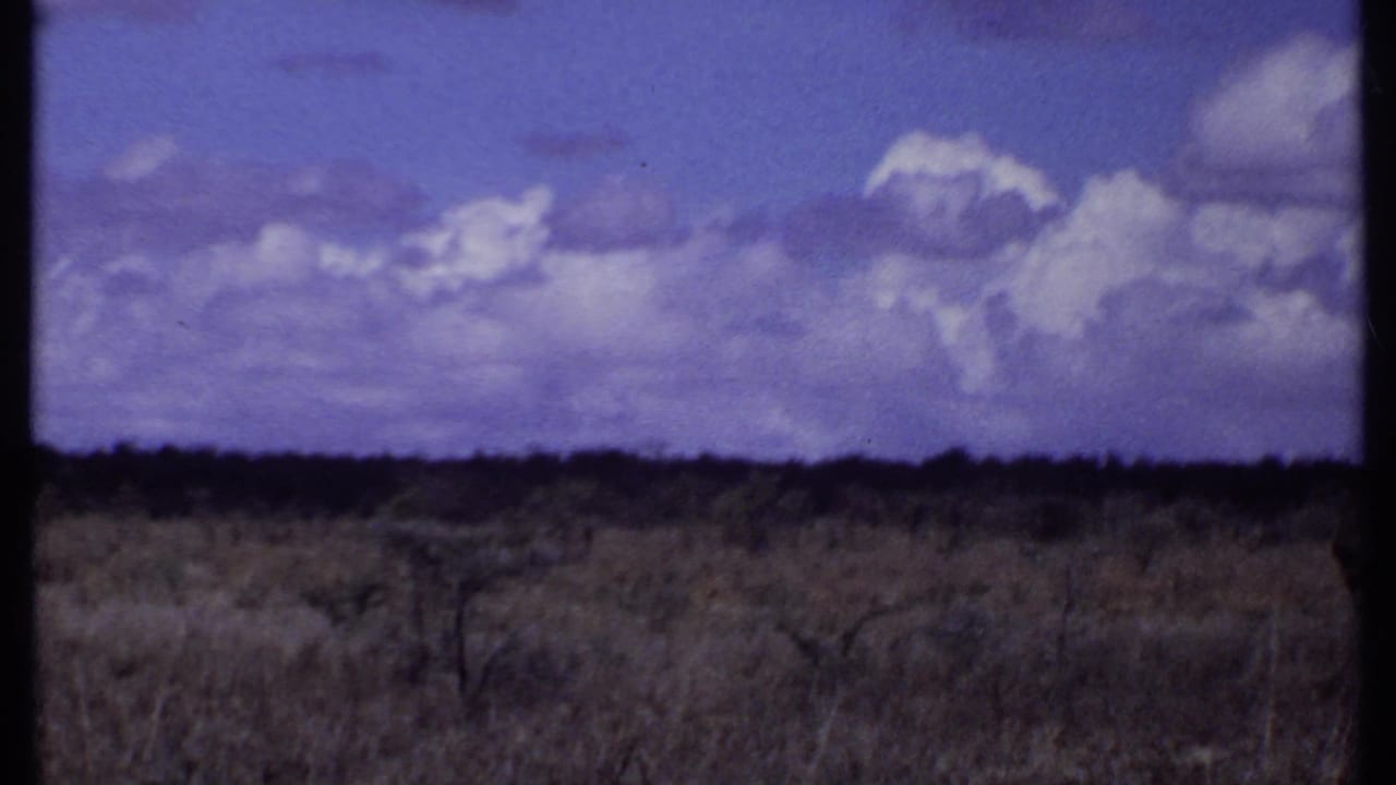 1969 Kenya 8mm landscape frame with dry savanna grass, sparse brush, a low tree line, and large white clouds in a blue-purple sky.
