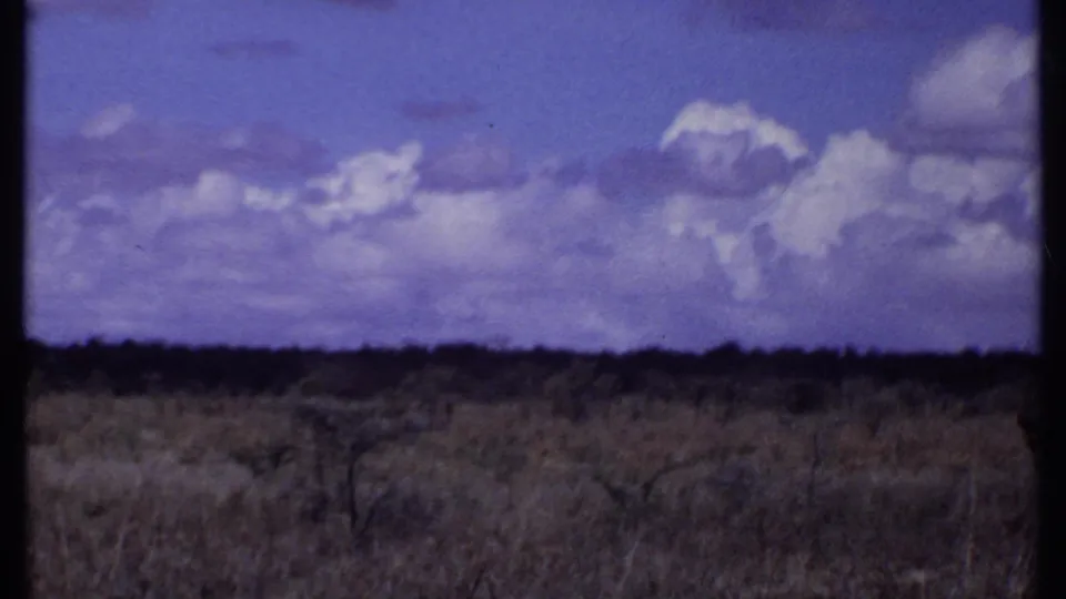 1969 Kenya 8mm landscape frame with dry savanna grass, sparse brush, a low tree line, and large white clouds in a blue-purple sky.