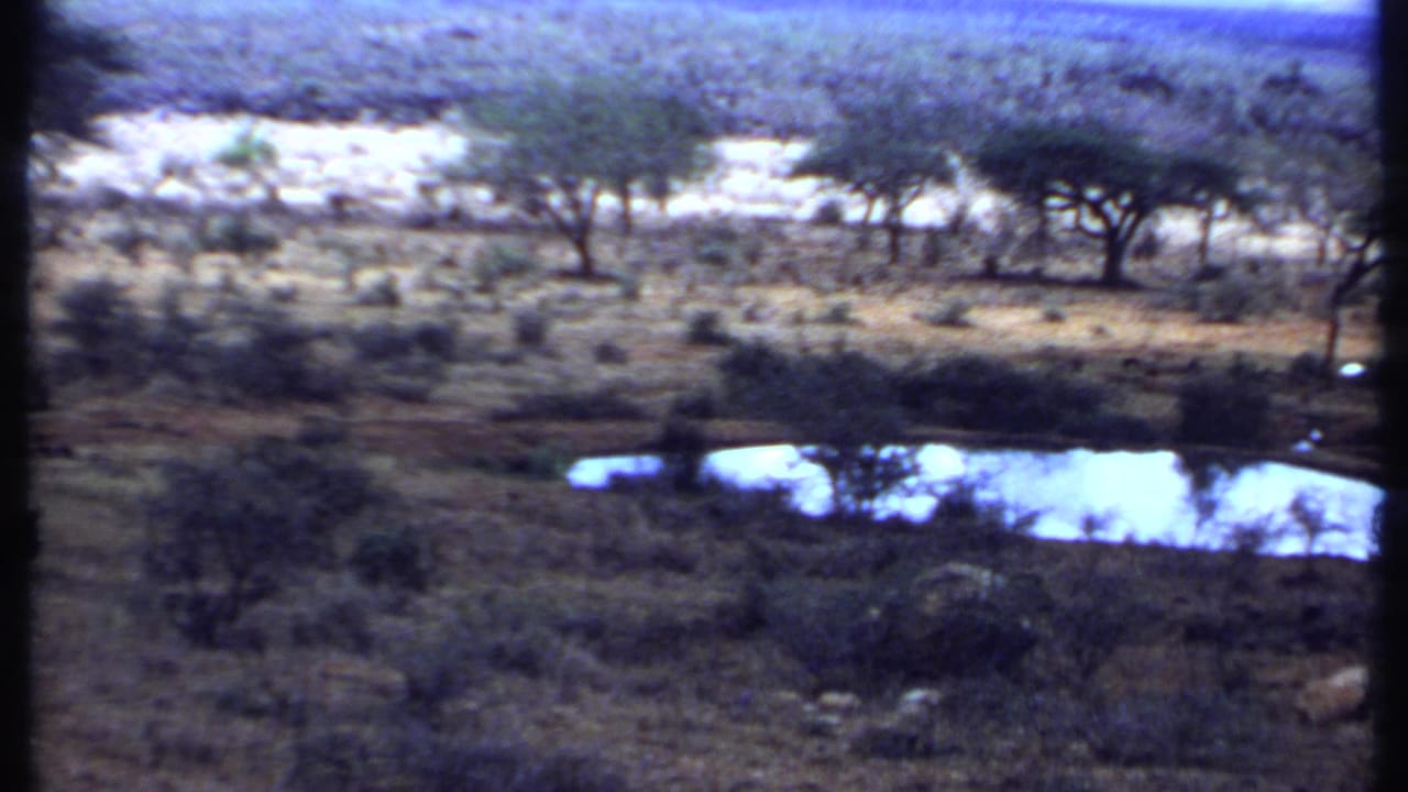 Wide Kenya savanna view from 1969 with scattered trees, a small reflective waterhole, scrub, and hazy distant hills.