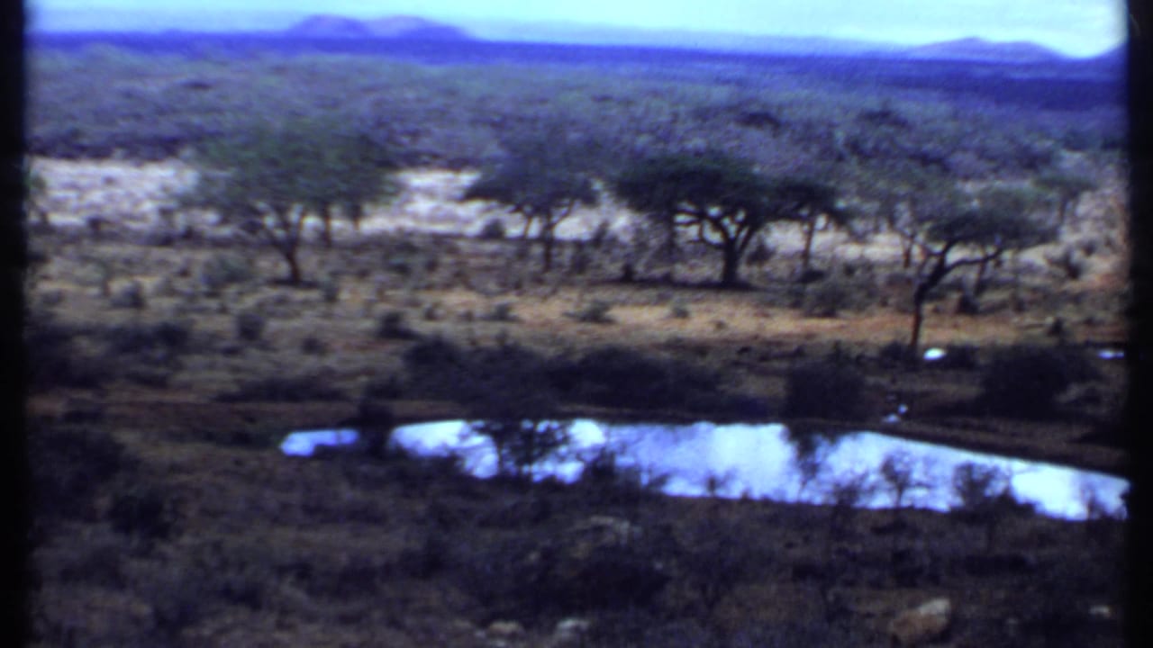 Wide 1969 Kenya savanna landscape with acacia-like trees, reflective water, dry brush, and low hills beyond.