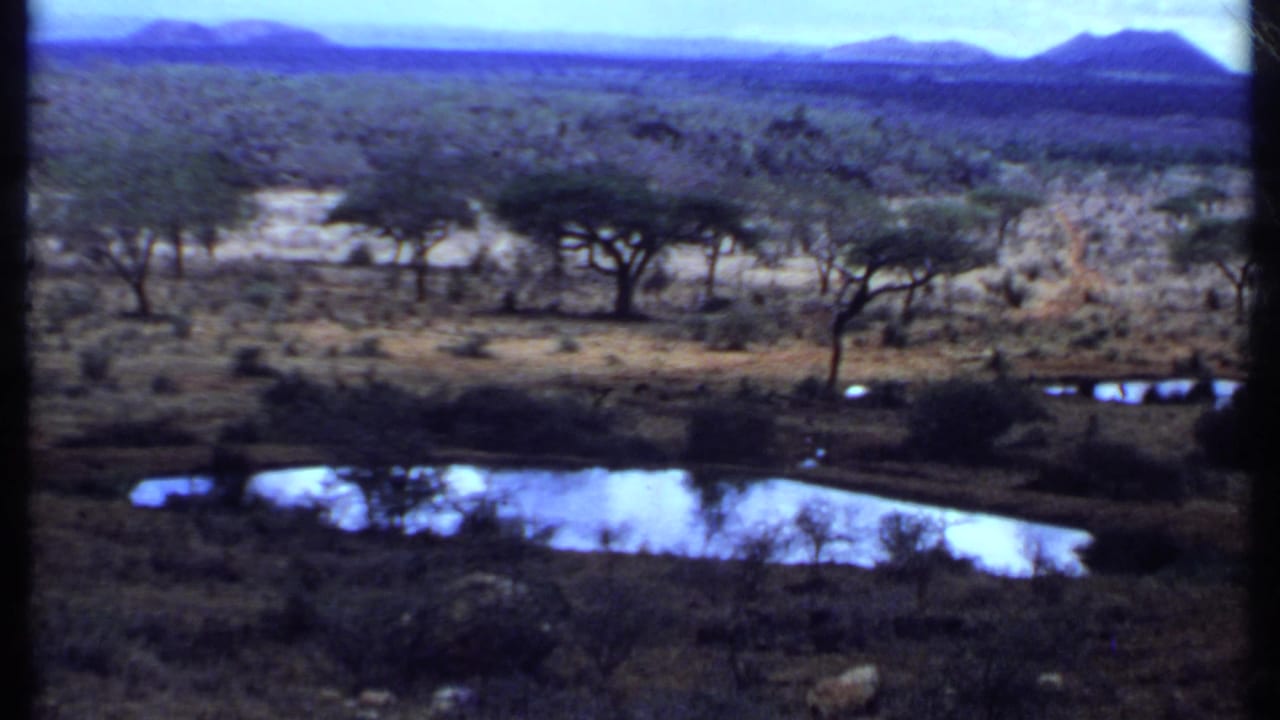 Savanna with scattered trees, reflective pools, and distant hills under a hazy sky.