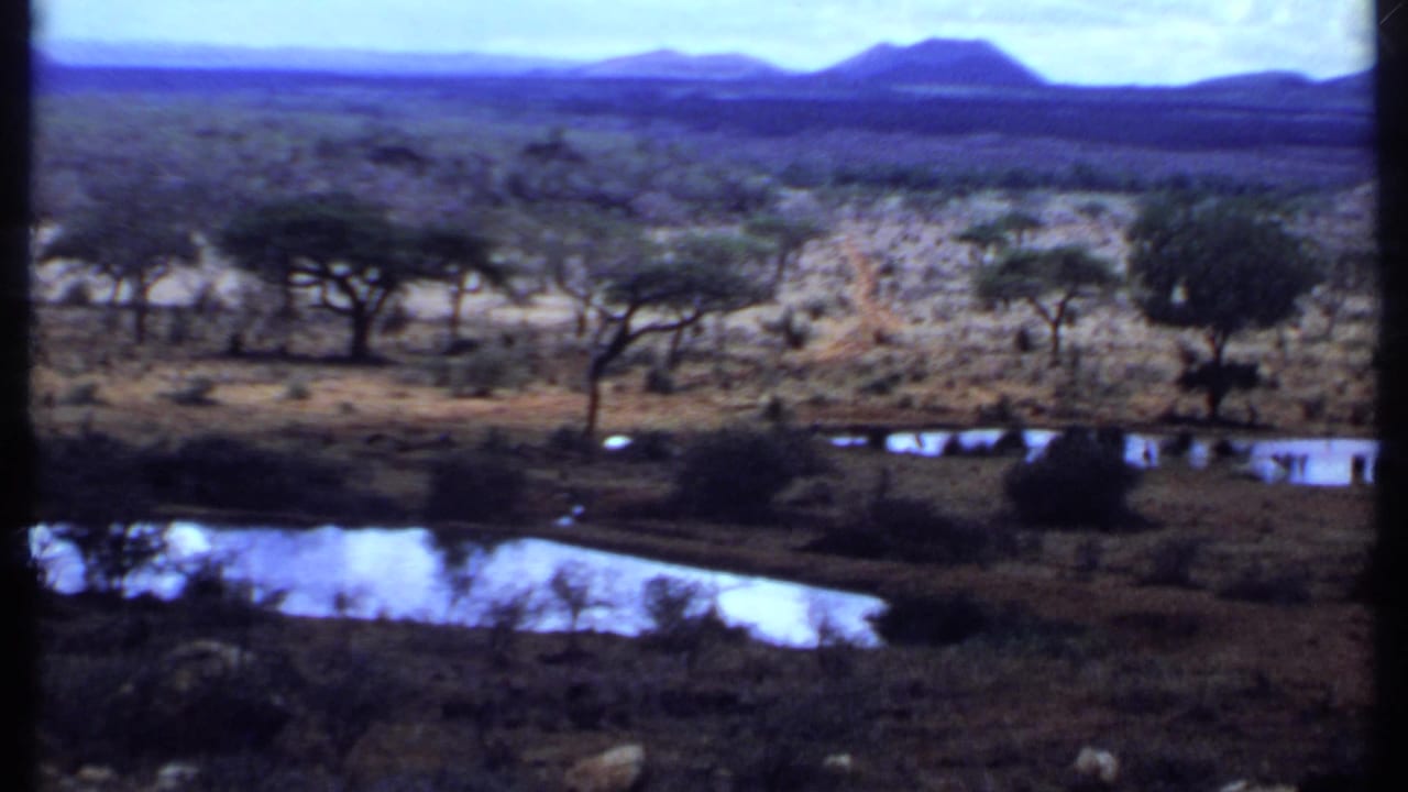 Wide landscape with trees, small water reflections, scrubland, and far mountains.