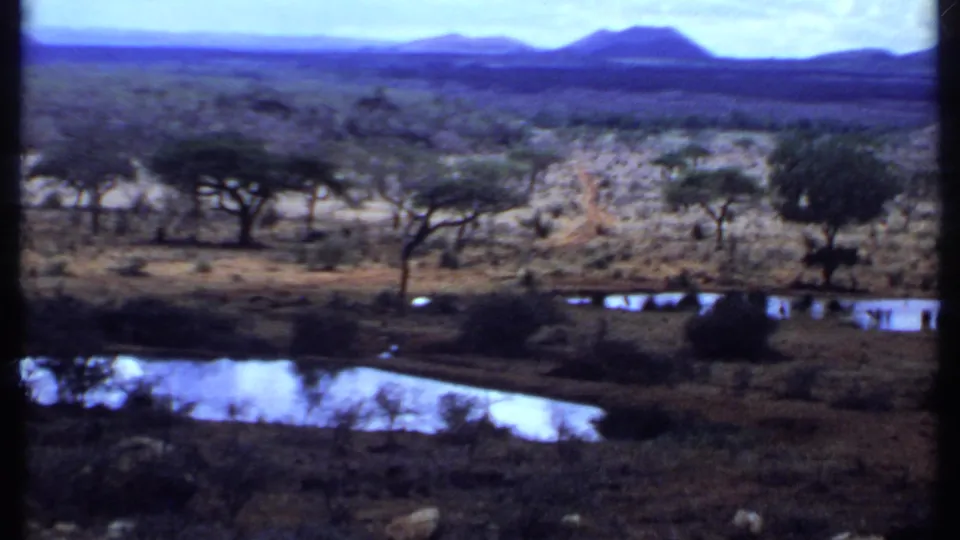 1969 Kenya home-movie frame of a broad savanna view with acacia-like trees, shallow water pools, dry ground, and distant mountains.