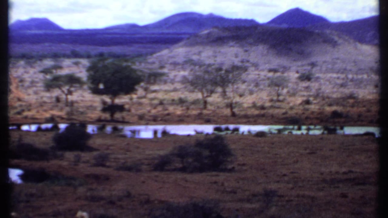 1969 Kenya home-movie frame with a sloping savanna foreground, scattered trees, a narrow water pool, low hills, and distant peaks.