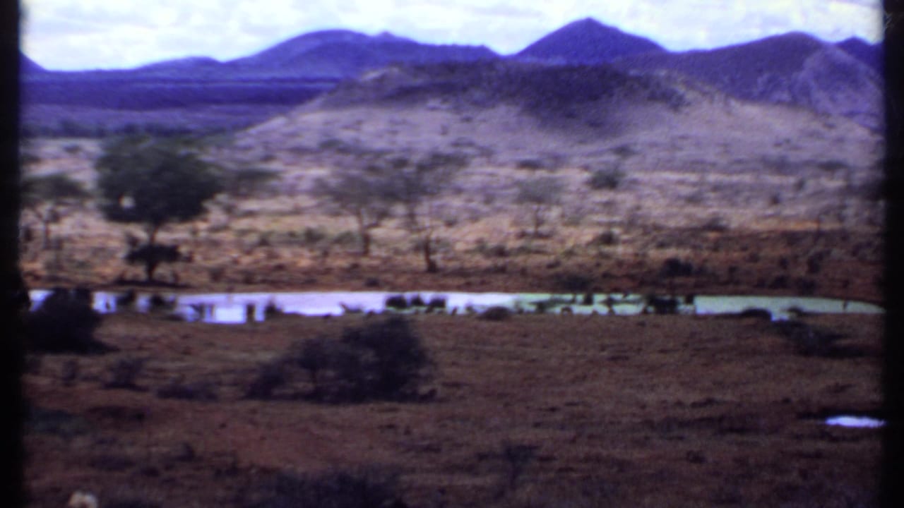 Dry savanna with a small lake, scattered trees, and mountains in the distance.