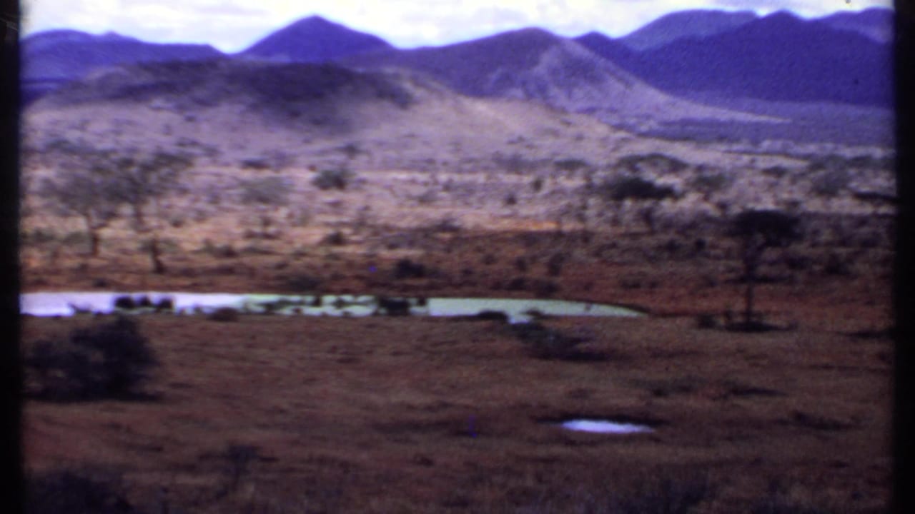 Savanna lake and distant mountains with scattered trees across the plain.