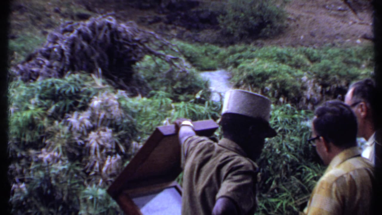 In Kenya travel footage from 1969, a uniformed guide points to a signboard as adult tourists watch beside lush vegetation and water.