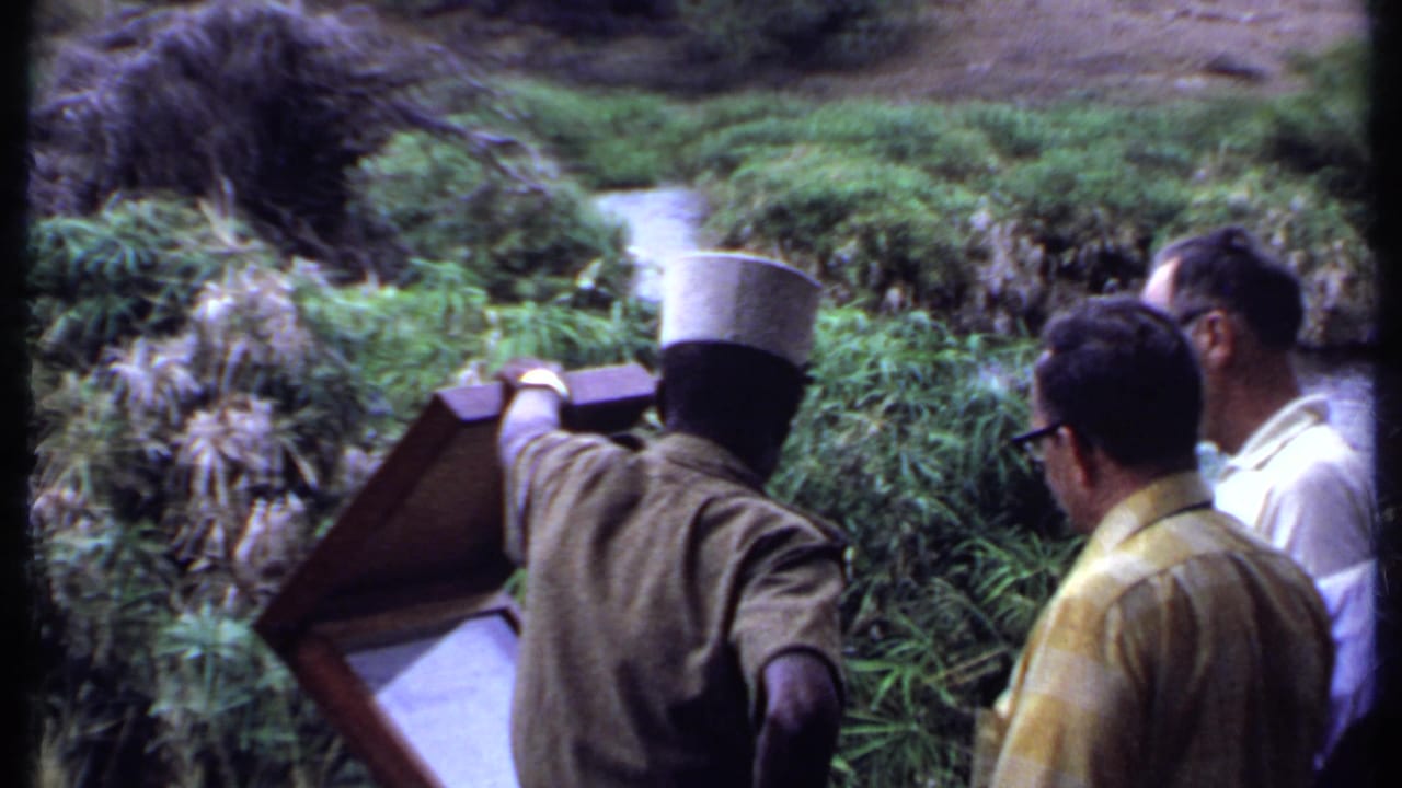 Guide and two tourists face a signboard with a narrow stream and thick plants in the background.