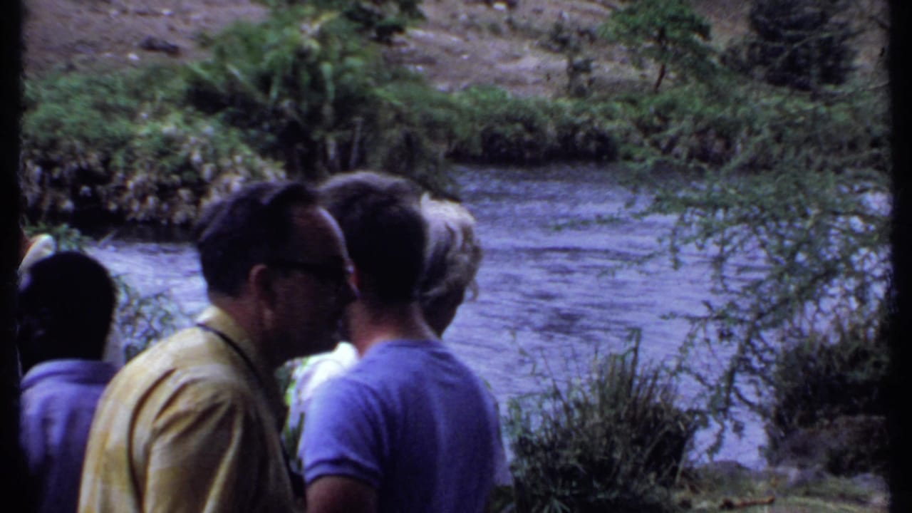 Tourists stand near a riverbank with trees and water behind them.