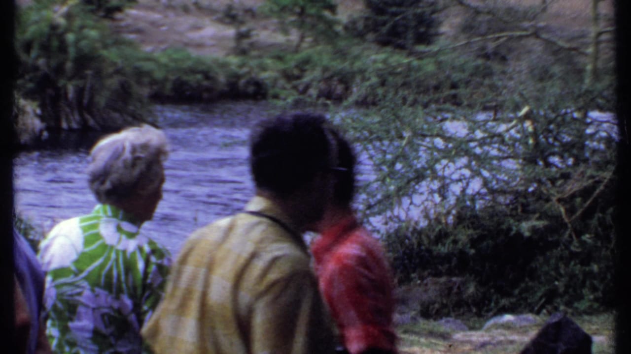 Visitors face a river while a man in a yellow shirt stands nearby.