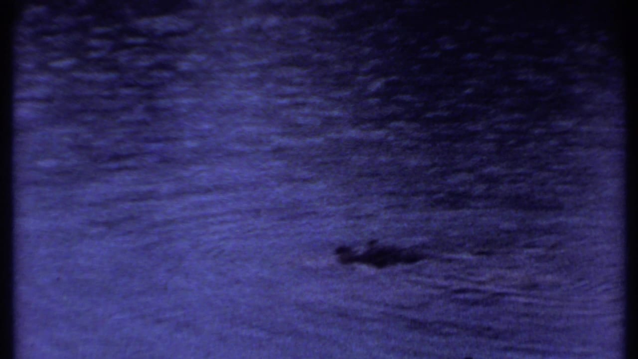 Close view of rippled dark water in the Kenya travel footage, with a small indistinct dark shape on the surface.