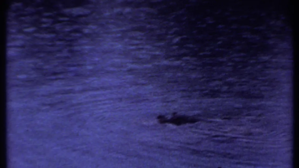 Close view of rippled dark water in the Kenya travel footage, with a small indistinct dark shape on the surface.
