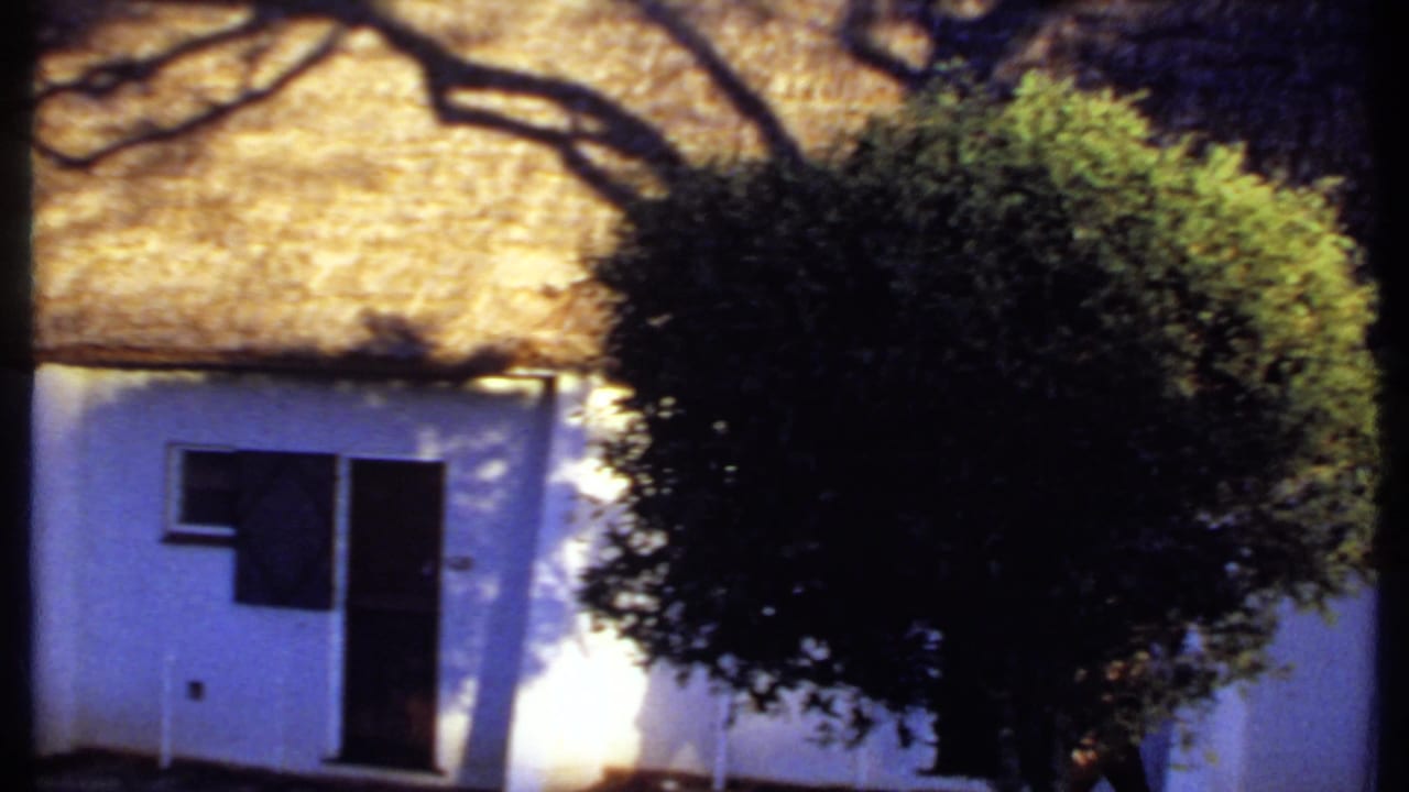 White thatched cottage with dark shutters under tree shadows.