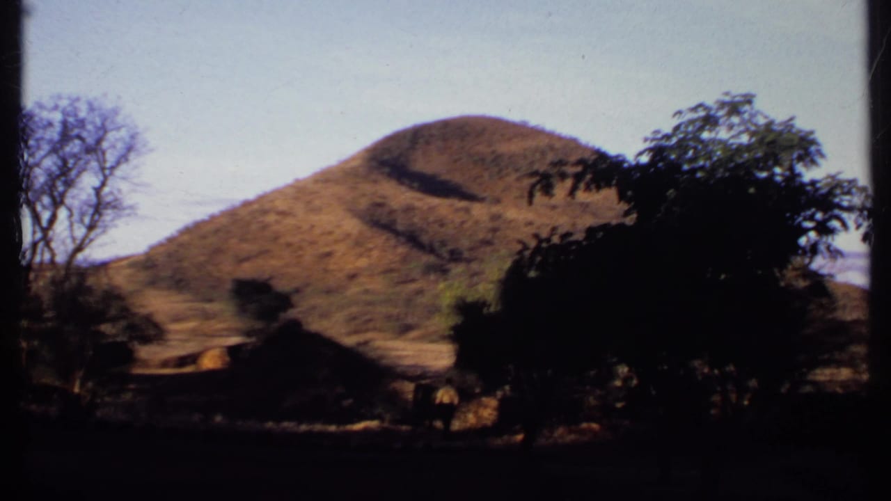 Rounded dry hill framed by dark trees and foreground shade.