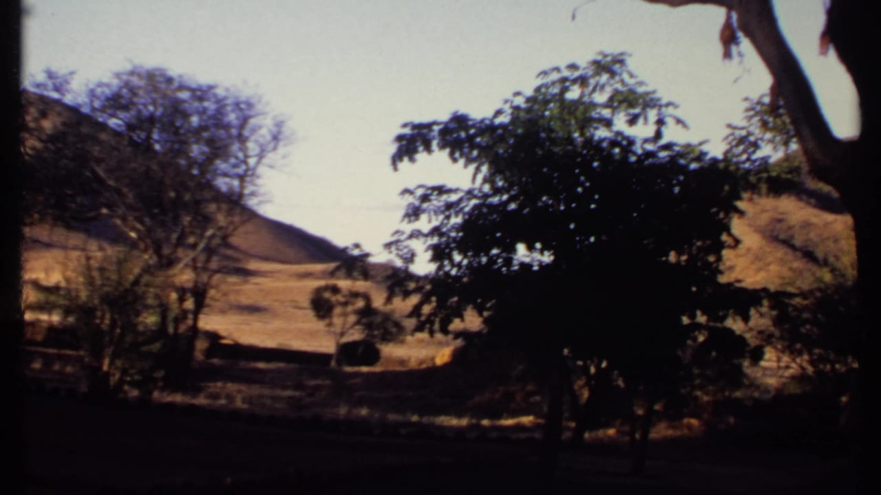 1969 Kenya home-movie view with the hill shifted left, tree branches and dark foliage in front, and small distant figures near low structures.