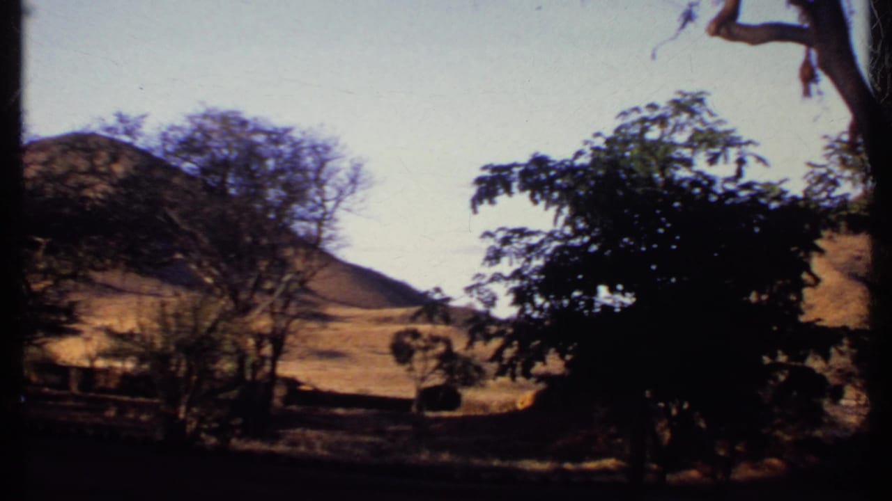 Dry hills and trees beside a shaded roadside under a pale sky.