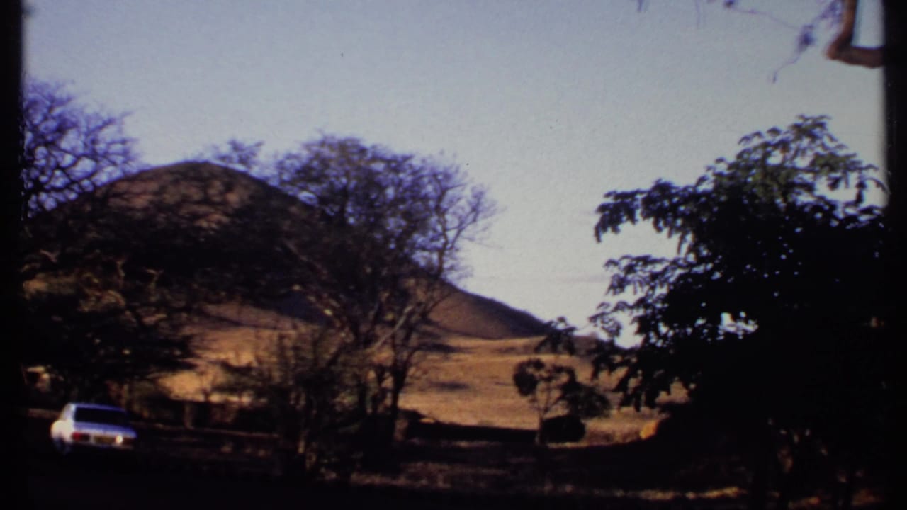 White sedan near trees with sandy hills in the background.