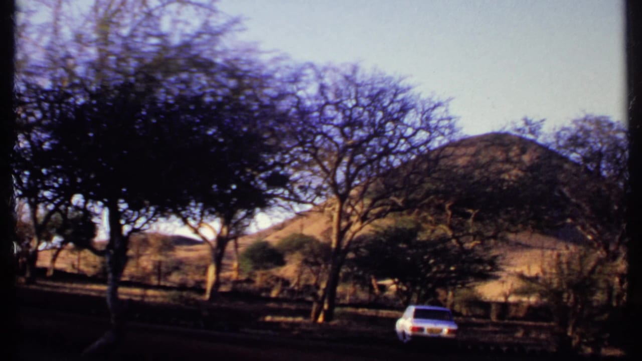 White car on a dirt road beneath sparse trees with dry hills behind it.