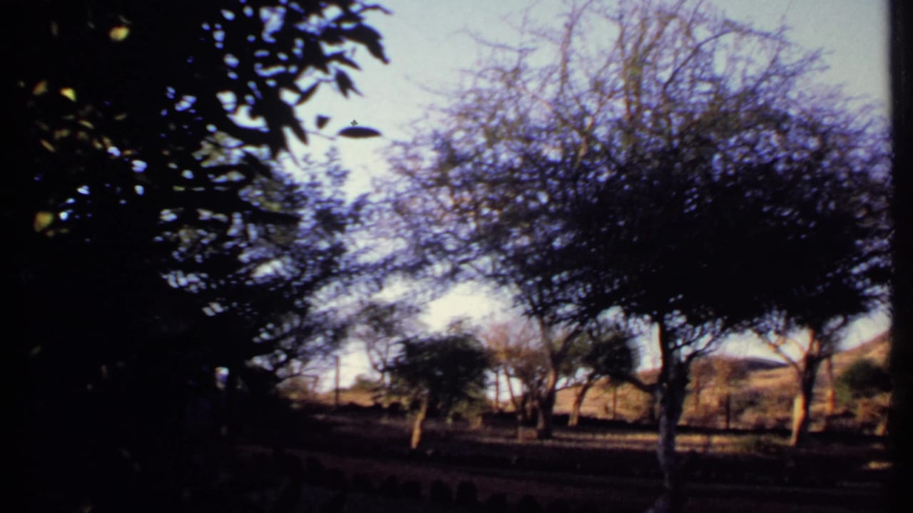 1969 Kenya home-movie frame with shaded foreground foliage, sparse roadside trees, and dry hills seen from a moving vehicle.
