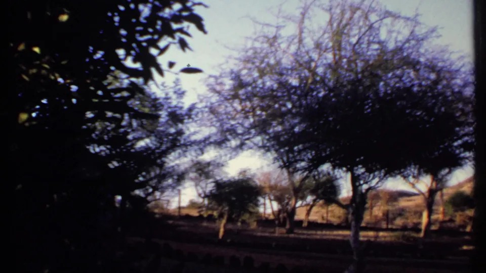 1969 Kenya home-movie frame with shaded foreground foliage, sparse roadside trees, and dry hills seen from a moving vehicle.