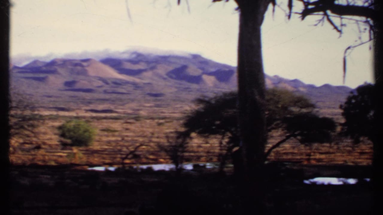 1969 Kenya 8mm view of distant mountains, dry open terrain, roadside tree trunks, and small reflective water patches.
