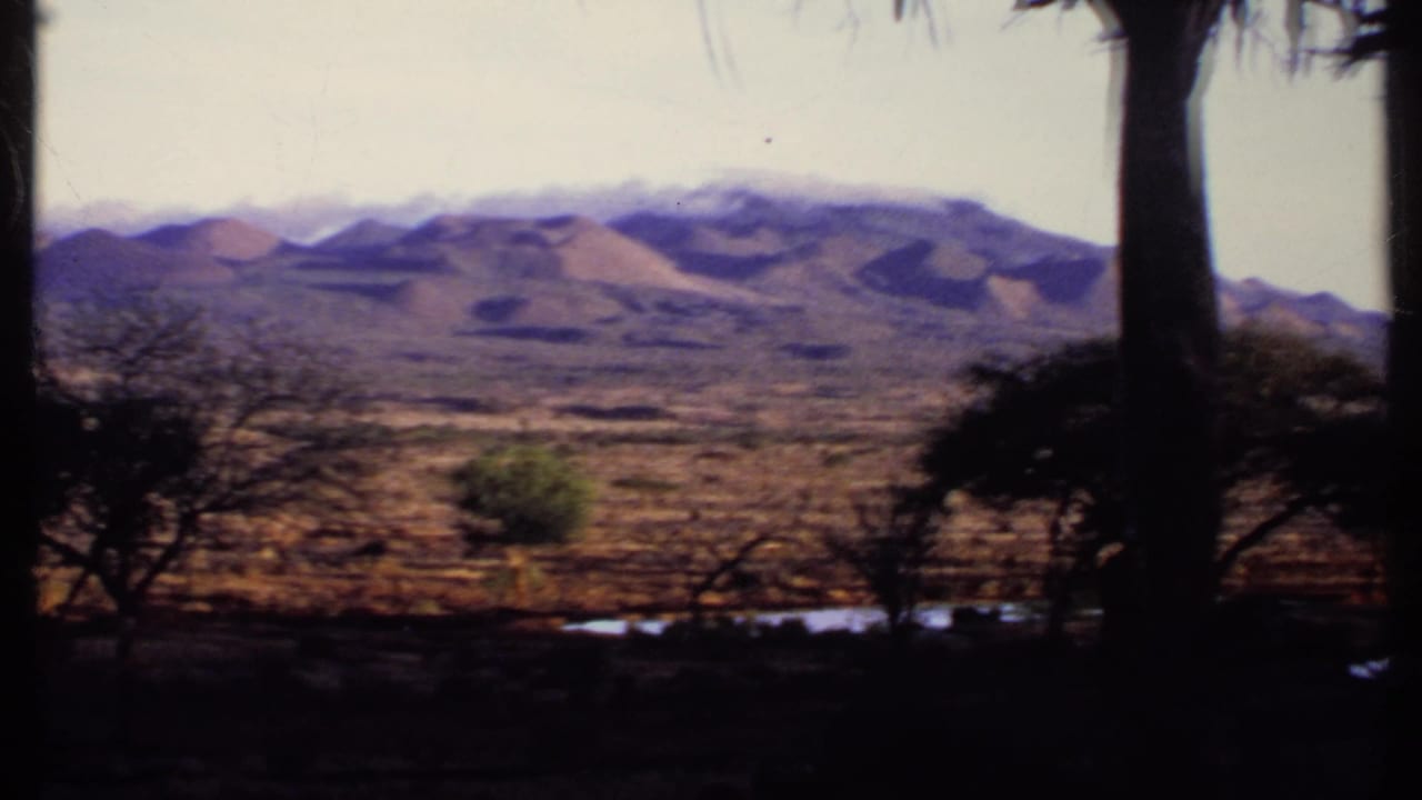 Silhouetted trees and scrub frame a distant mountain range under a hazy sky.