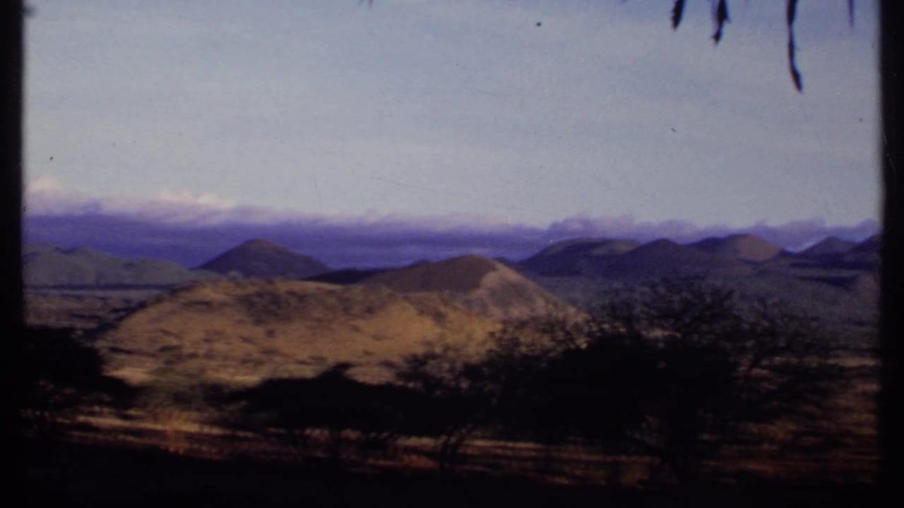 High view across dry hills, scattered trees, distant mountains, and a pale sky.