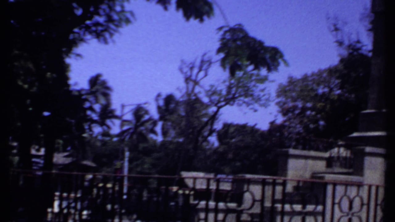 Iron gate and tree-lined roadside with a blue truck partly visible.