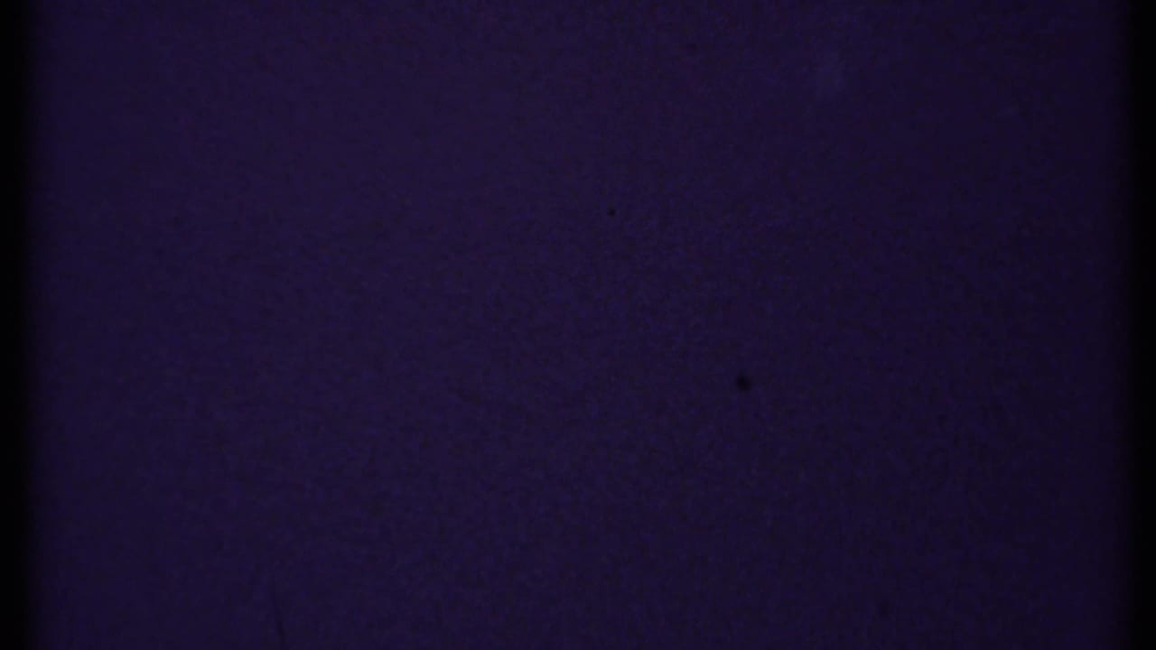 Dark blue-purple textured film frame with grain, dust, and a black vertical edge.