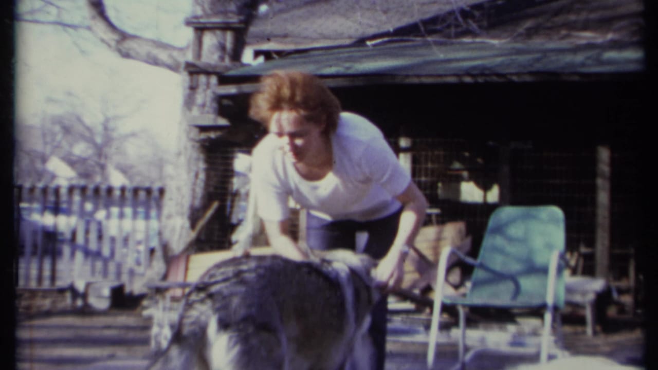 Woman bends toward a gray and white dog in a backyard area.