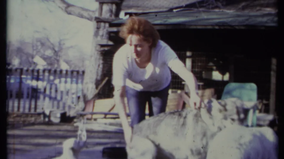 Adult woman in a white shirt handles a leash while standing over a large gray and white dog in 1971 California home-movie footage.