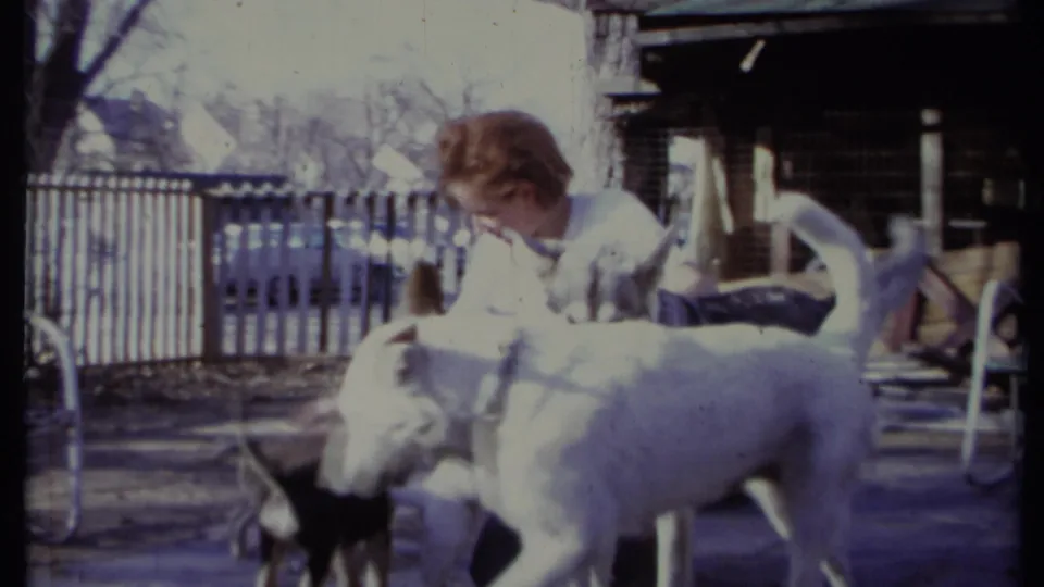 The woman bends toward several dogs in the backyard, with a large white dog crossing the foreground and smaller dogs near her knees.