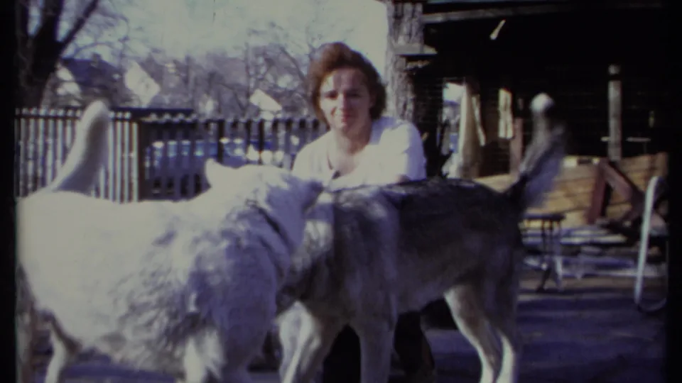 The woman kneels behind two dogs in a sunlit California backyard, with fencing, outdoor furniture, and bare trees in view.